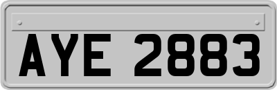 AYE2883