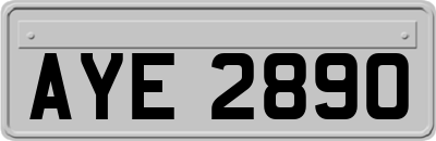 AYE2890