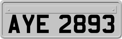 AYE2893
