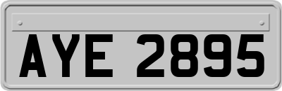 AYE2895