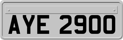 AYE2900