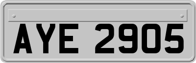 AYE2905