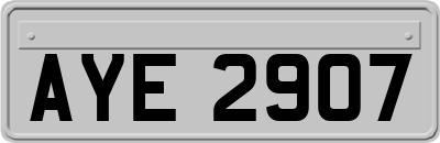 AYE2907