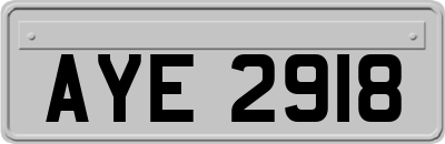 AYE2918
