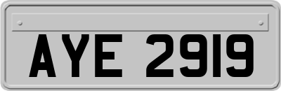 AYE2919
