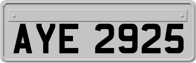 AYE2925