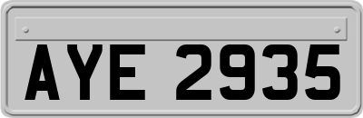 AYE2935