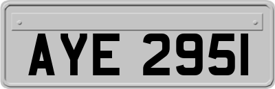 AYE2951