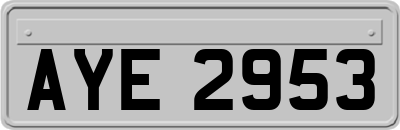 AYE2953