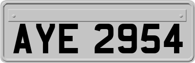 AYE2954