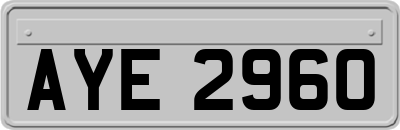 AYE2960