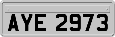 AYE2973
