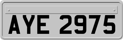 AYE2975