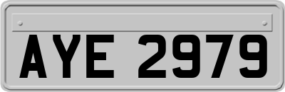 AYE2979