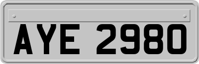 AYE2980