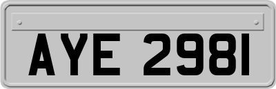 AYE2981