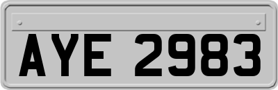 AYE2983