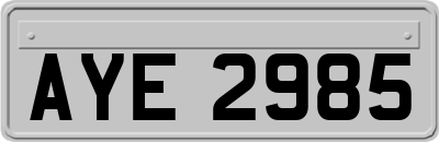 AYE2985