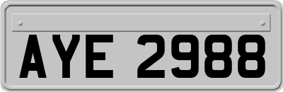 AYE2988