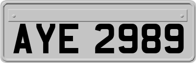 AYE2989