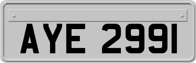 AYE2991