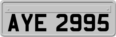 AYE2995