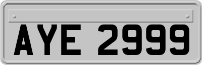 AYE2999