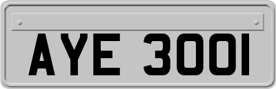 AYE3001