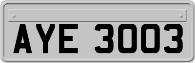 AYE3003