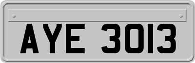AYE3013