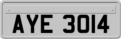 AYE3014