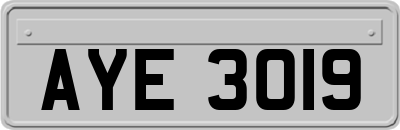 AYE3019