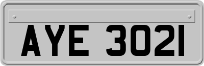 AYE3021