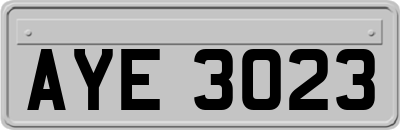 AYE3023