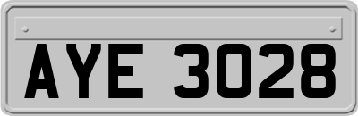 AYE3028