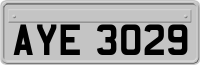 AYE3029