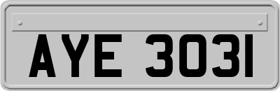 AYE3031