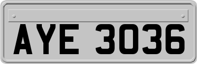 AYE3036