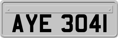 AYE3041