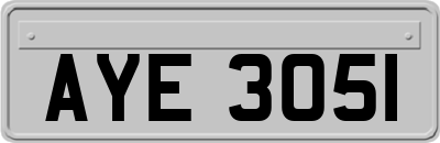 AYE3051