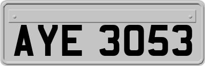 AYE3053