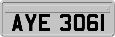 AYE3061