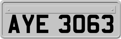 AYE3063