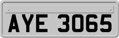 AYE3065