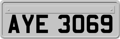 AYE3069