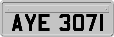 AYE3071