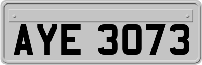 AYE3073