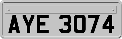 AYE3074