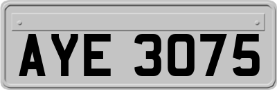 AYE3075