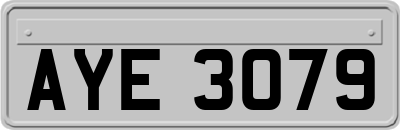 AYE3079